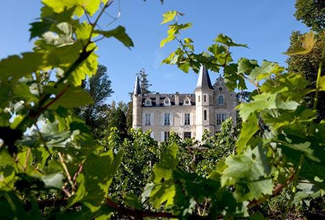 Foto des Partnerweinguts Château Haut-Bergey