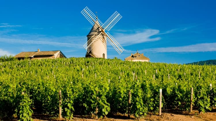 Moulin beaujolais