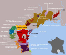 Prix Coteaux du Languedoc par millésime