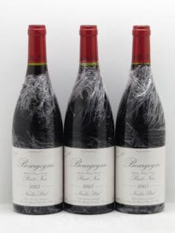 Bourgogne Pinot Noir Cuvée Gérard Potel - Nicolas Potel (sans prix de réserve - no reserve) 2005 - Lot de 3 Bouteilles