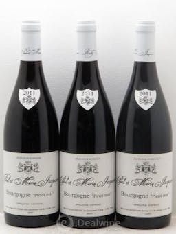 Bourgogne Pinot Noir Jacqueson 2011 - Lot de 3 Bouteilles