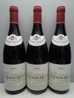 Pommard Domaine Bouchard  2001 - Lot of 3 Bottles