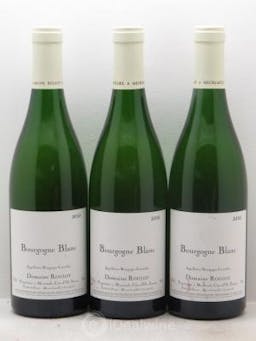 Bourgogne Domaine Roulot (sans prix de réserve) 2010 - Lot de 3 Bouteilles