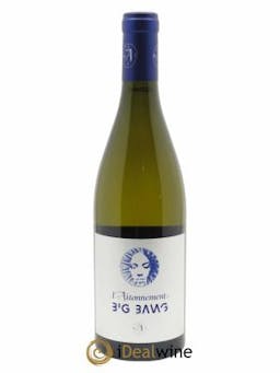 IGP Vin des Allobroges Big Bang L'Aitonnement - Maxime Dancoine 2021 - Lot de 1 Bottle