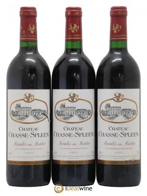 Château Chasse Spleen  1993 - Lot of 3 Bottles