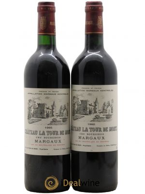 Château la Tour de Mons Cru Bourgeois 1995 - Lot de 2 Bottles