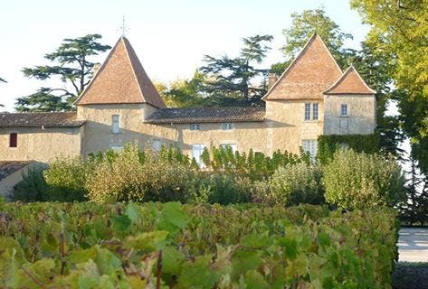 Foto della tenuta - Château Carbonnieux