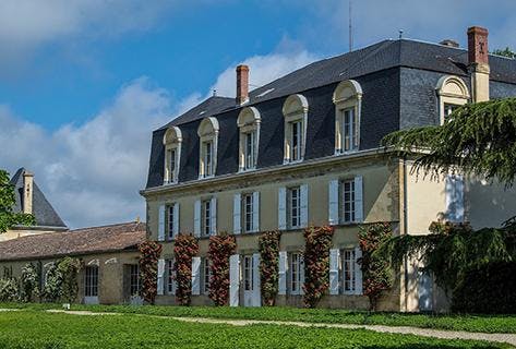 Foto della tenuta - Château Guiraud