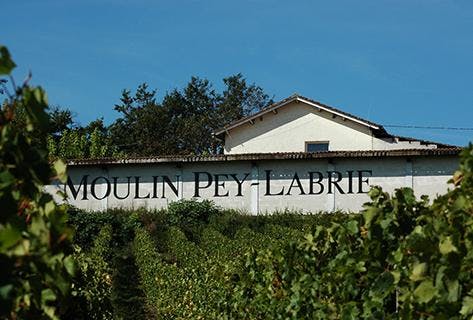 Foto della tenuta - Château Moulin Pey-Labrie