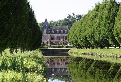 Foto della tenuta - Château Olivier