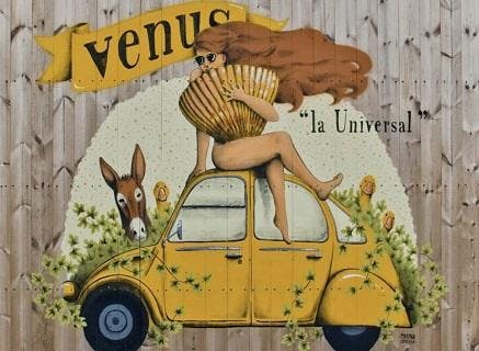 Foto della tenuta - Venus La Universal