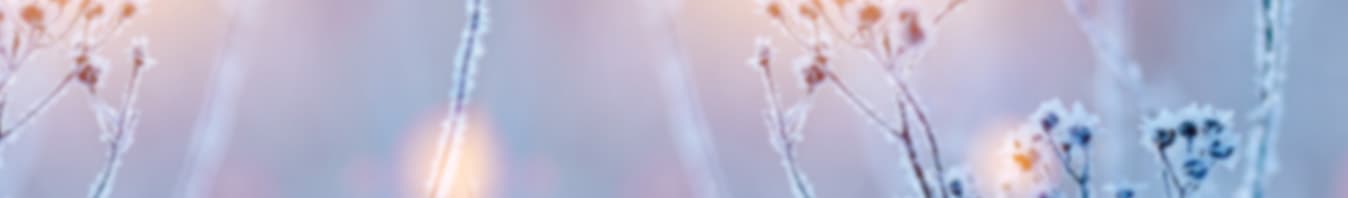 Liste des vins en vente - iDealwine