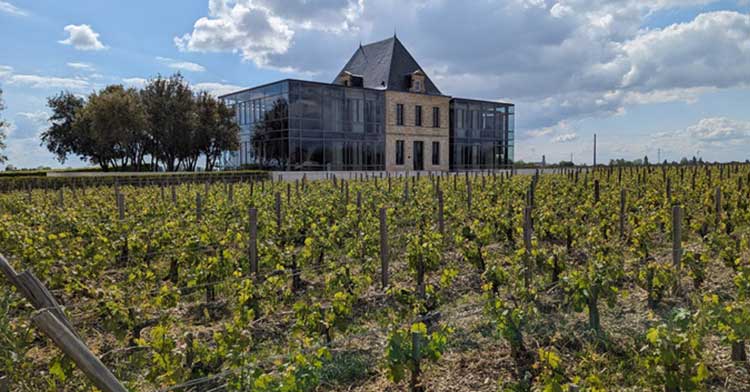 Primeurs 2023 | Présentation du millésime 2023 à Bordeaux : météo et caractéristiques des vins