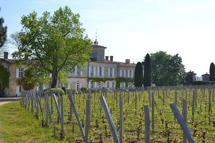 PRIMEURS 2021 - PARTIE 4 LES VINS DE LA RIVE DROITE