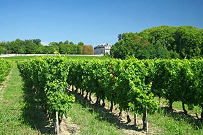 PRIMEURS : NOS DÉGUSTATIONS DU MILLÉSIME 2018 À BORDEAUX - PARTIE 1 : LA RIVE DROITE