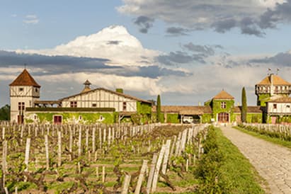 PRIMEURS 2017 (2) : LES COUPS DE CŒUR DE L'ÉQUIPE IDEALWINE À MARGAUX