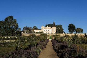 Primeurs 2024 | Le Médoc : analyse du millésime et coups de cœur