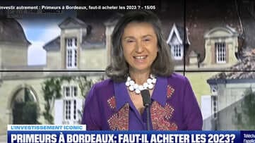 BFM – Bordeaux : faut-il acheter les Primeurs 2023 ?