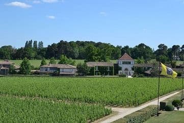 Primeurs 2023 | Pessac-Léognan : analyse du millésime et coups de cœur