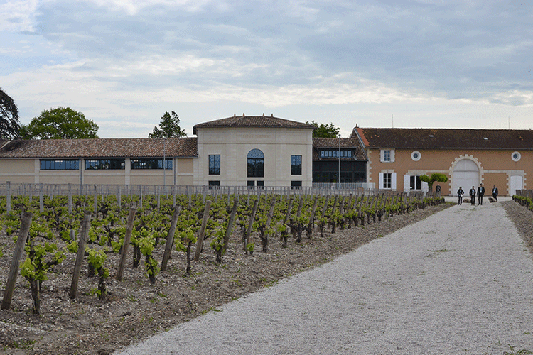 PRIMEURS 2021 - PARTIE 2 LES VINS DES GRAVES ET DE PESSAC-LÉOGNAN