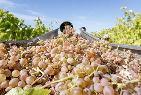 Château de Roquefort - 3