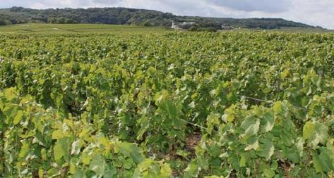 Photo principale du domaine