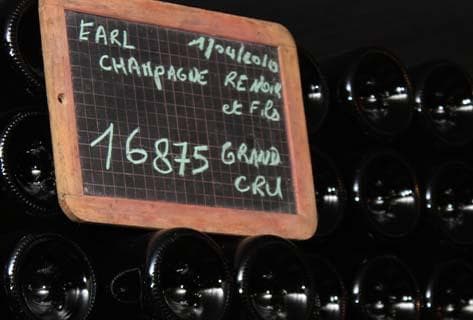 Photo of partner producer Adrien Renoir