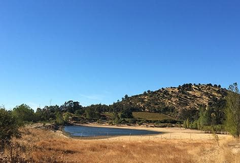 Agricola La Mision - 1