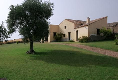 Photo du domaine partenaire Agricola Punica