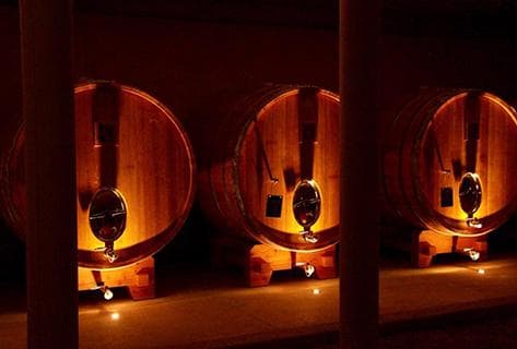 Alain Chabanon - 4