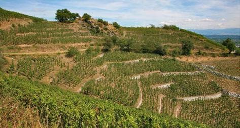 Photo principale du domaine