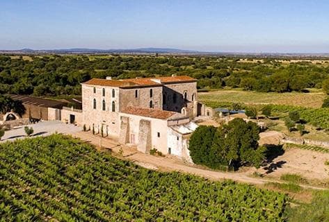 Photo du domaine partenaire Alberto Orte