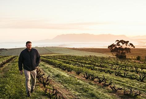 Photo of partner producer Alheit Vineyards