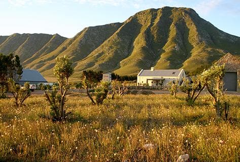 Alheit Vineyards - 2