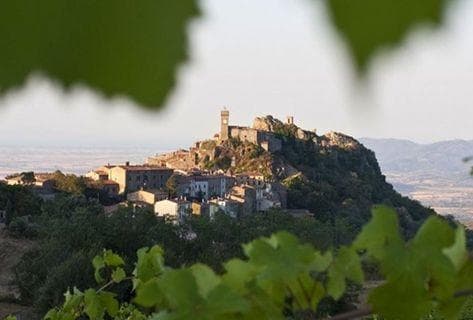 Foto della tenuta - Ampeleia