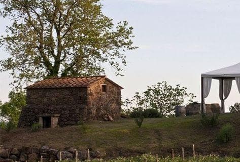Ampeleia - 4