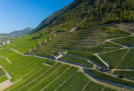 André et Michel Quenard - 3