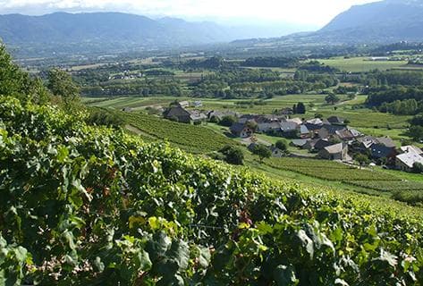 André et Michel Quenard - 4