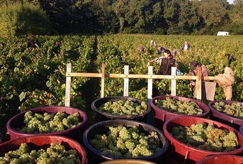 André-Michel Bregeon - 2