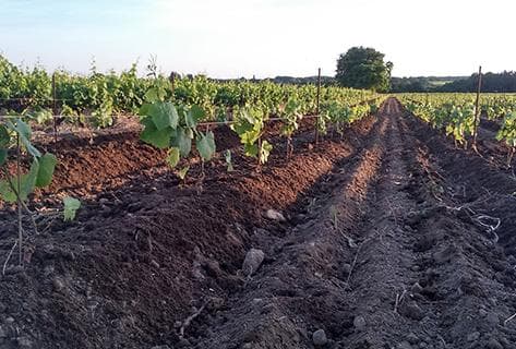 André-Michel Bregeon - 3