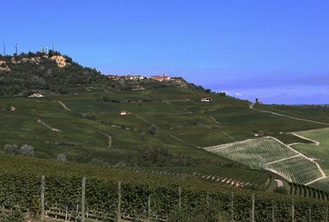 Angelo Gaja - 2
