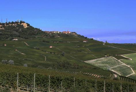 Angelo Gaja - 2