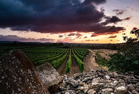 Anne Gros & Jean-Paul Tollot - 3