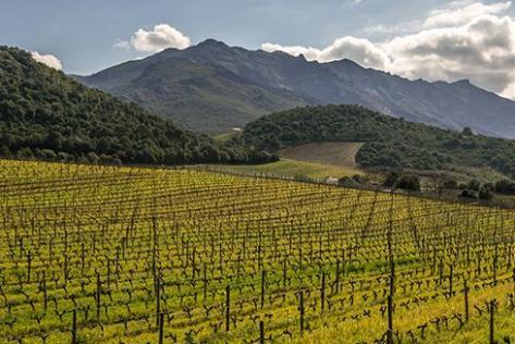 Antoine Arena - 2