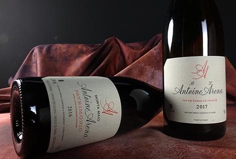 Antoine Arena - 4