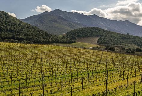 Antoine-Marie Arena - 2