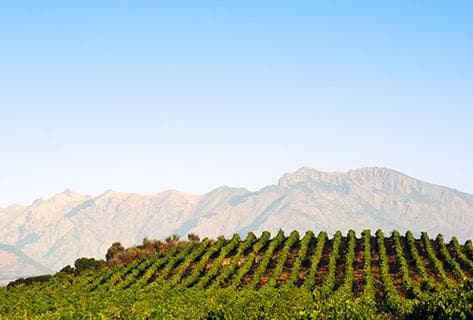 Antoine-Marie Arena - 3