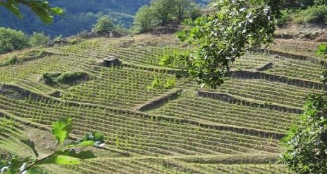 Photo principale du domaine