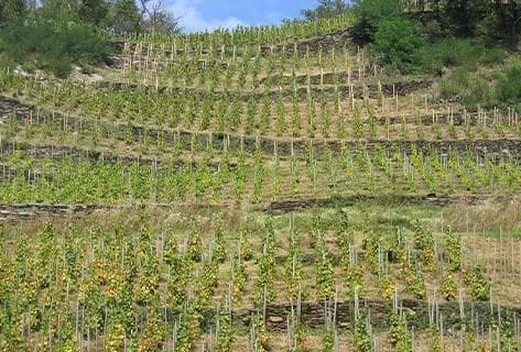 Ardoisières (Domaine des) - 3