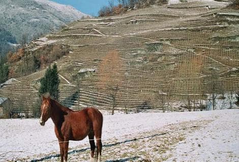 Ardoisières (Domaine des) - 4